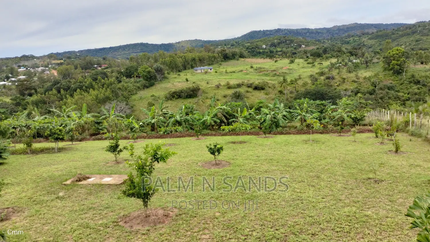 3.46 Acre Shimbahills Established Fruit Farm!!