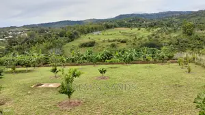 3.46 Acre Shimbahills Established Fruit Farm!!