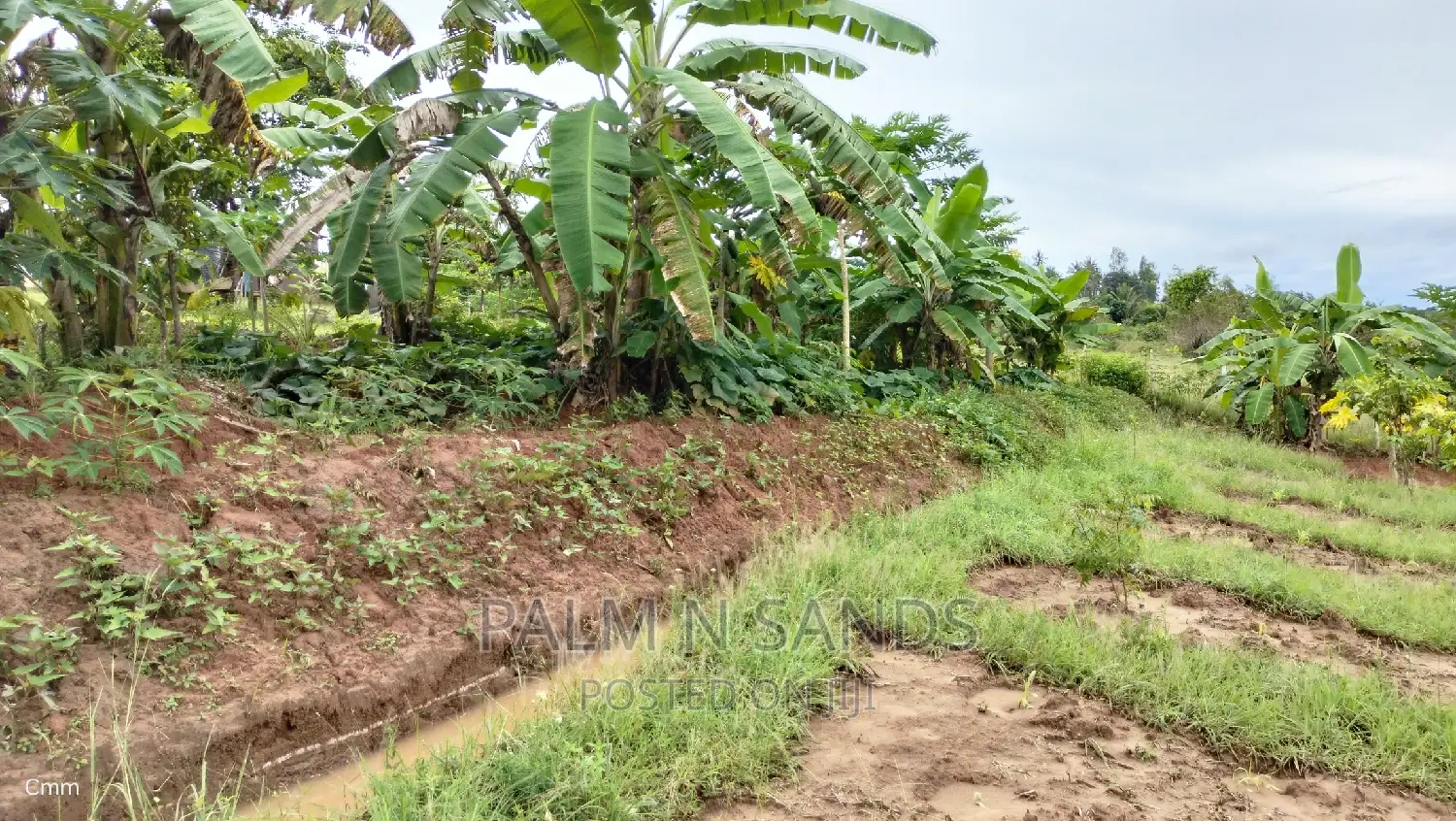 3.46 Acre Shimbahills Established Fruit Farm!!