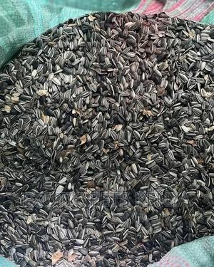 Sunflower Seed Mix for Birds and Parrots - thumbnail 2