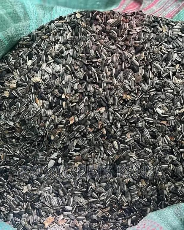 Sunflower Seed Mix for Birds and Parrots - main view