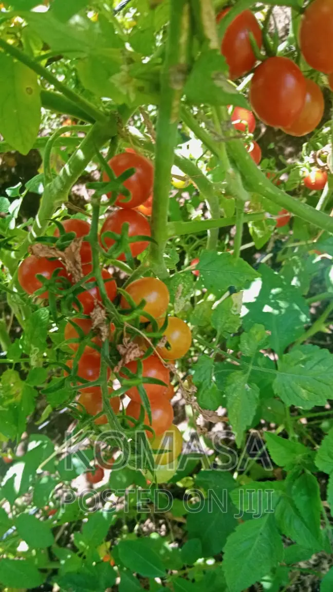2 Acres Farm in Lower Subukia