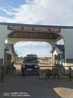 Safari and Wildlife in Kenya