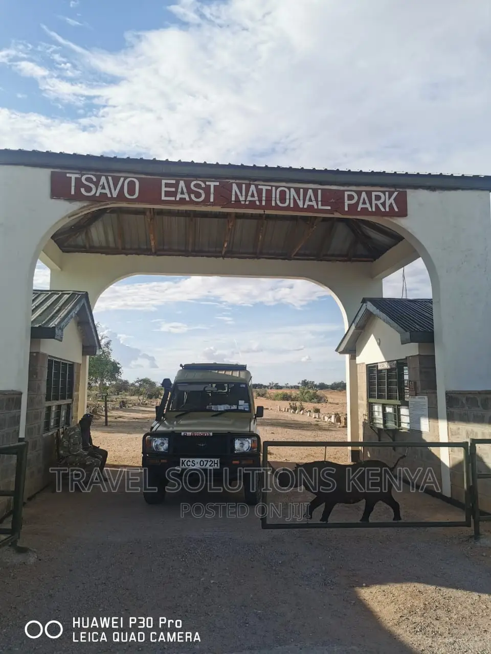 Safari and Wildlife in Kenya
