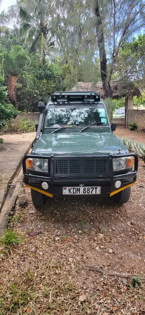 Safari and Wildlife in Kenya