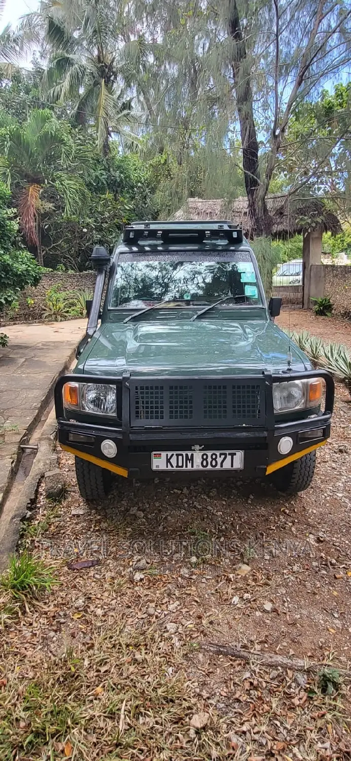 Safari and Wildlife in Kenya