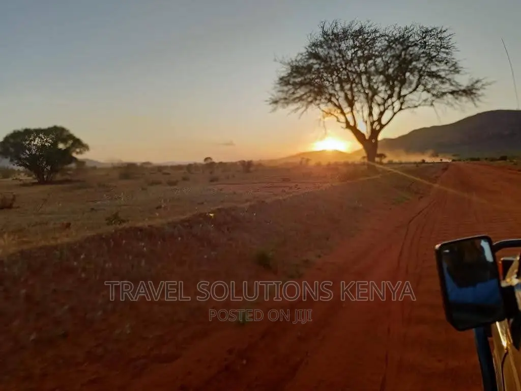 Safari and Wildlife in Kenya