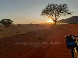 Safari and Wildlife in Kenya