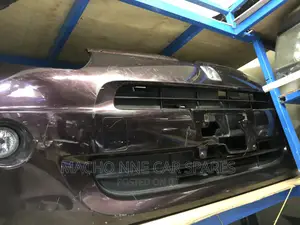 Toyota Passo 2010 Nosecut
