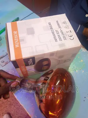 Chicken Bulb