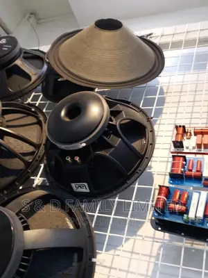 15 Inches Midbass Speaker Lavi