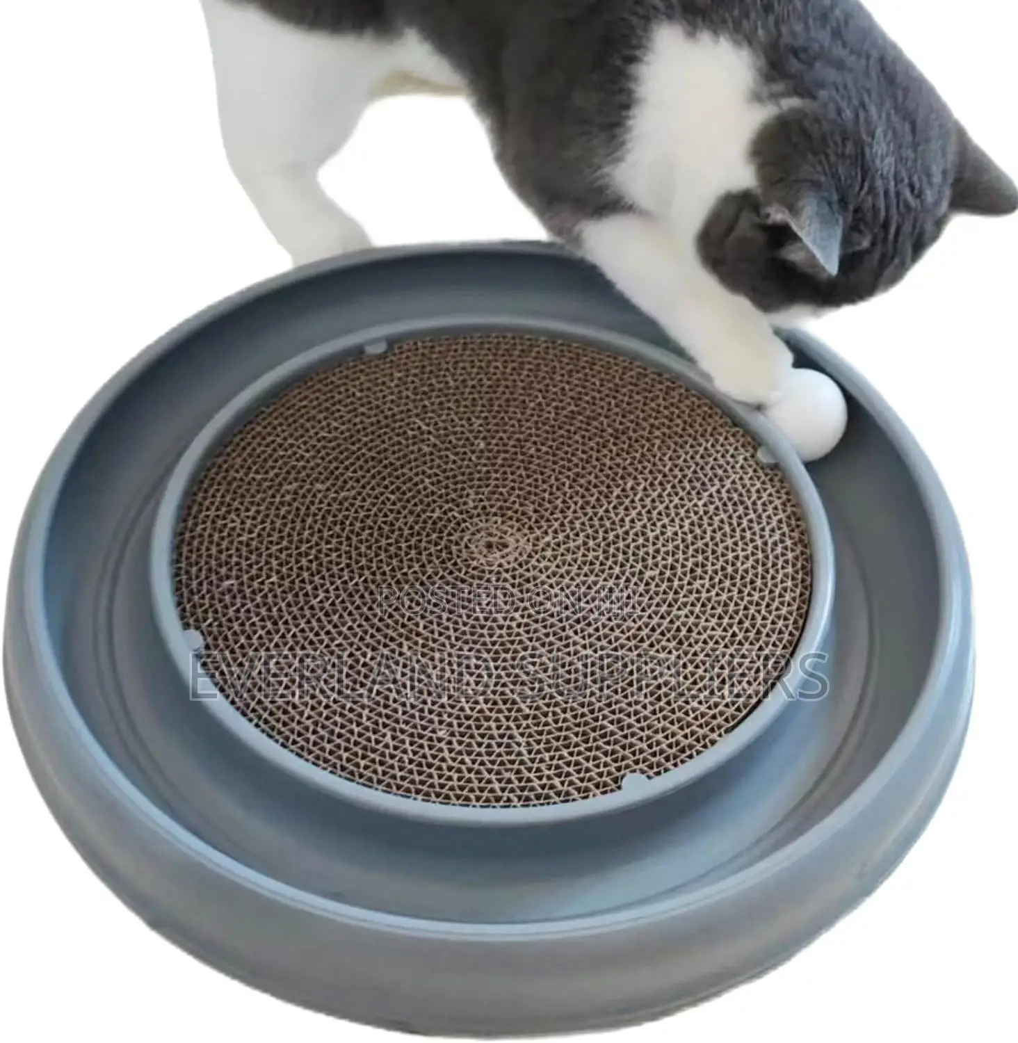 Cat Scratch Toy