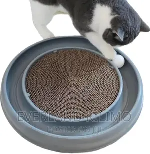 Cat Scratch Toy