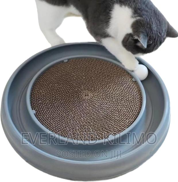Cat Scratch Toy - main view