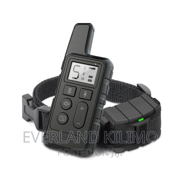 Remote Dog Training Collar - Single - main view