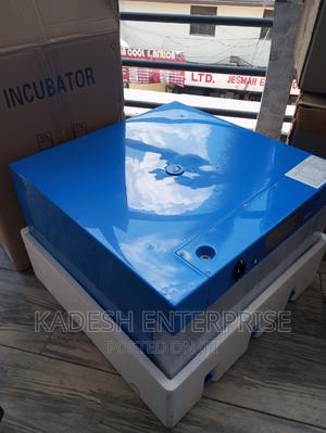 128 Eggs Electricity/Solar Incubator - main view