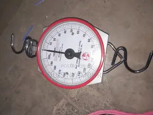 Hanging Scale/200kg Balance Scale