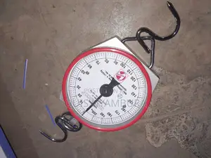 Hanging Scale/200kg Balance Scale