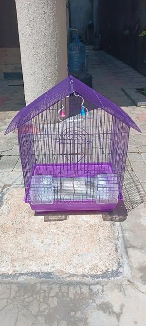 Small -Cages - thumbnail 3