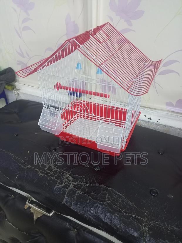 Small -Cages - thumbnail 2