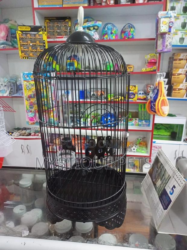 Small -Cages - thumbnail 4