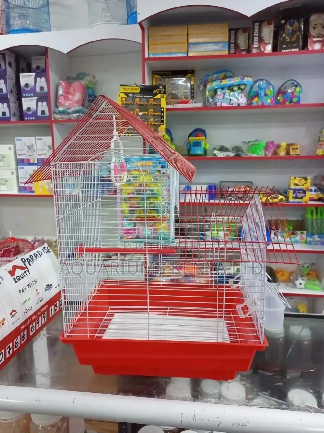 Lovebirds Cages, Housing for Birds