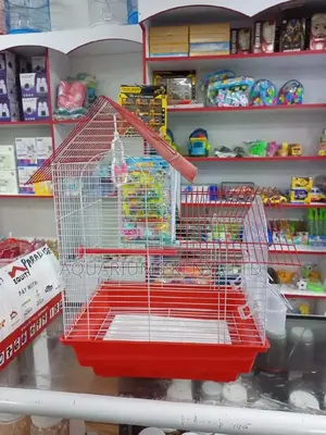 Lovebirds Cages, Housing for Birds