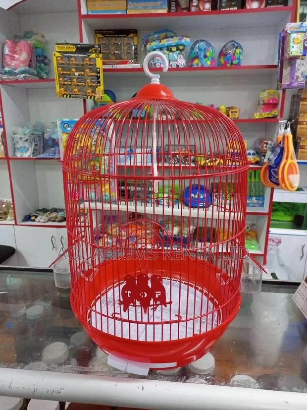 Budgies Cages,Cages for Budgies