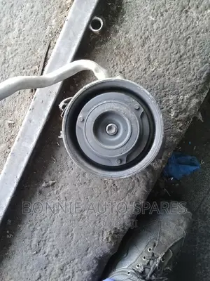 Ro6 AC Pump