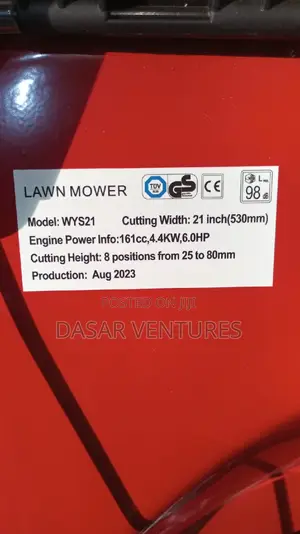 Briggs and Stratton 6hp 21" Blade