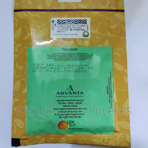 Advanta Swisschard Fordhook Giant Spinach Seeds - thumbnail 2