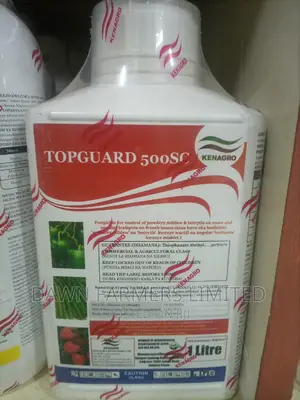Topguard 500sc Fungicide 1ltr