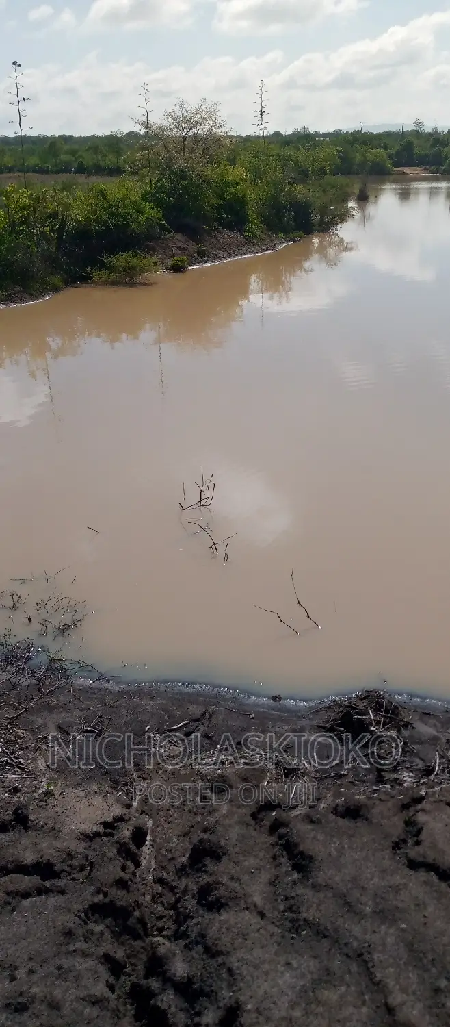 Developed Land for Settlement.