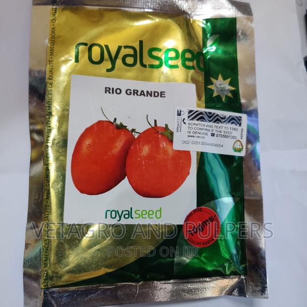 Royal Seeds Rio Grande Tomato Seeds