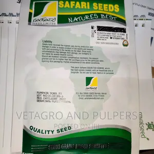Safariseeds Pumpkin Dora F1 Hybrid