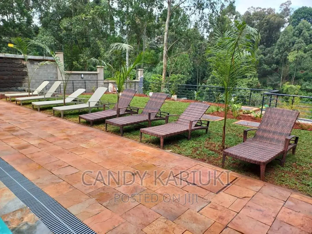 Swimming Pool Area Sun Loungers