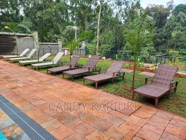 Swimming Pool Area Sun Loungers
