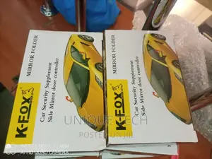Car Mirror Folder