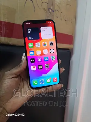 Apple iPhone 12 Pro Max 256 GB Gray