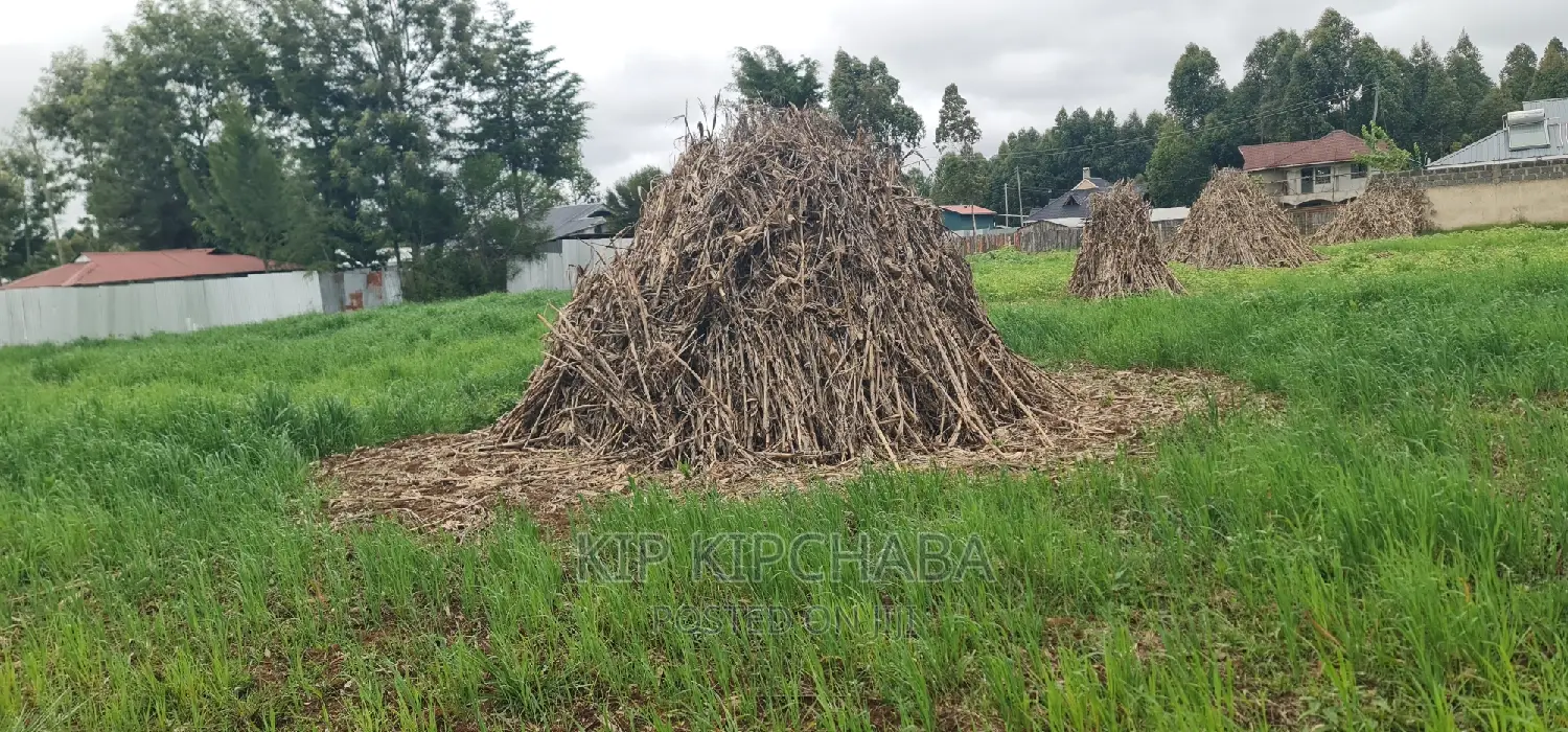 Plots For Sale In Outspan Eldoret