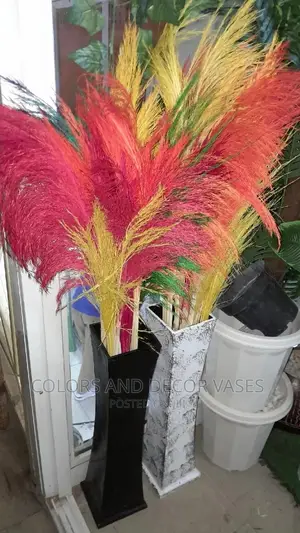Pampas Colored a Bunch