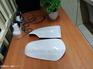 Auris 2016 Side Mirror Cover.