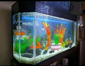 3ft Aquarium Tank, for Home or Office