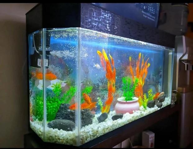 3ft Aquarium Tank, for Home or Office - thumbnail 3