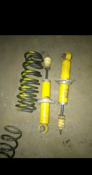 Subaru Legacy Br9 Rear Shocks and Springs