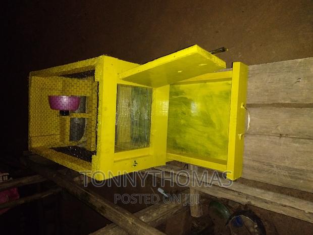 Pretty Hamsters - thumbnail 4