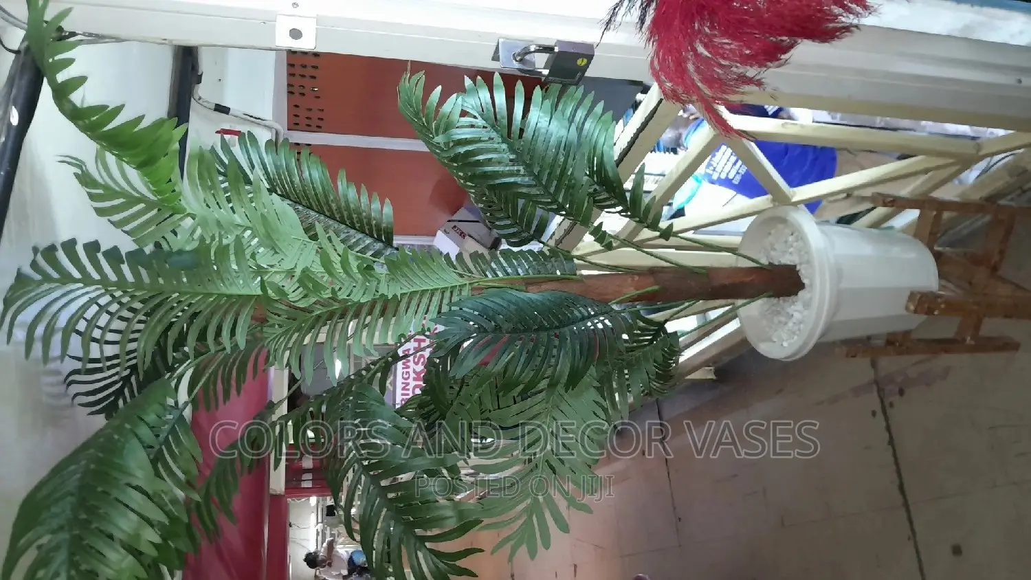 Palm Tree, Plastic Vase and Wooden Stand