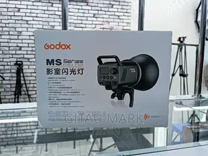 Godox Ms300 Studio Flash Head