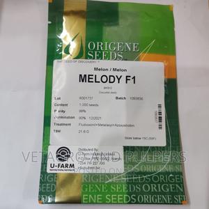 Melody F1 Melon Seeds - main view