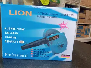 Electric Hand Blower